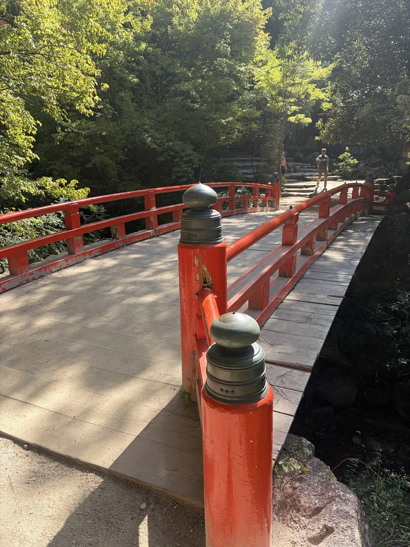 木々に囲まれた紅葉谷公園の赤い橋