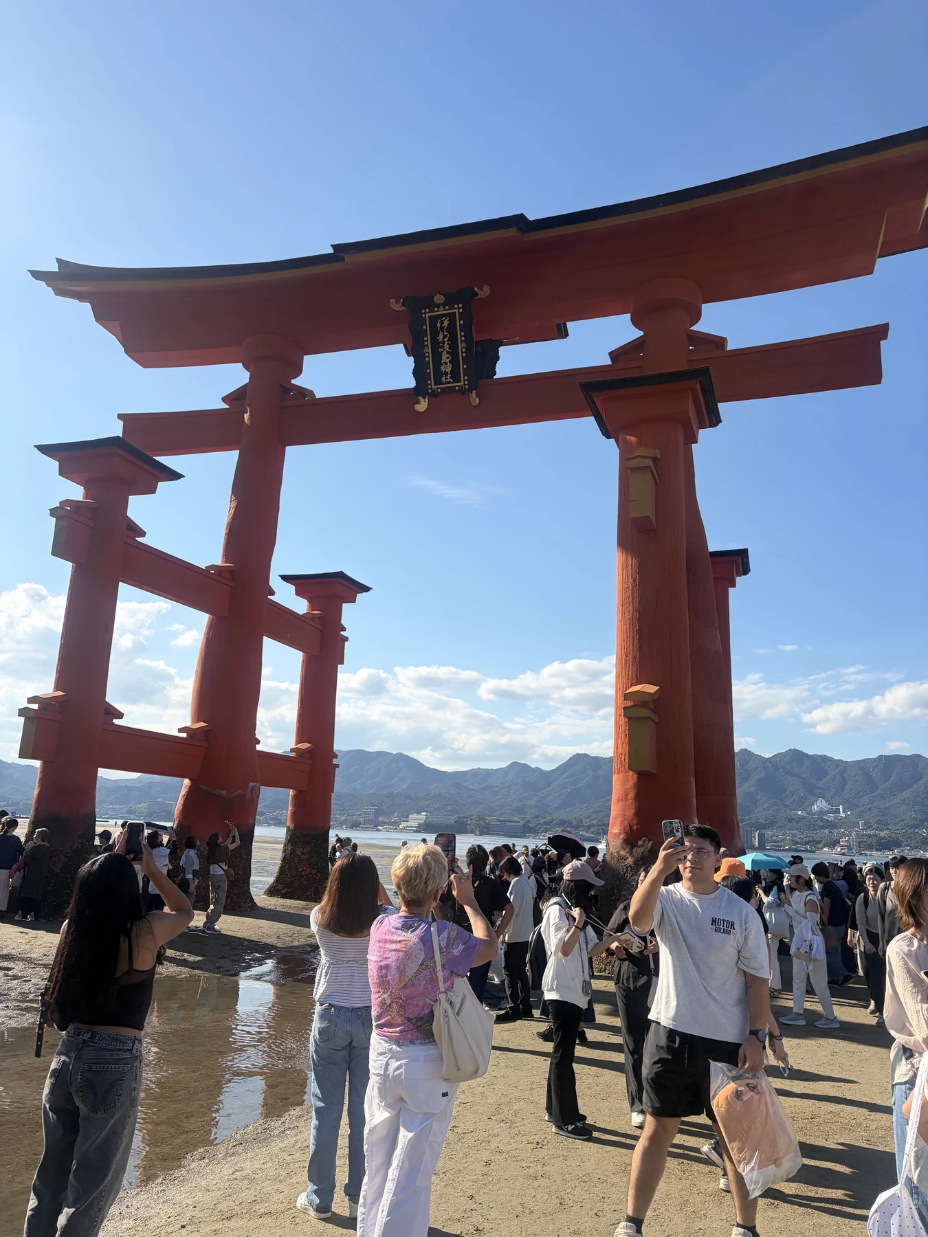 干潮の大鳥居を足元から見上げる